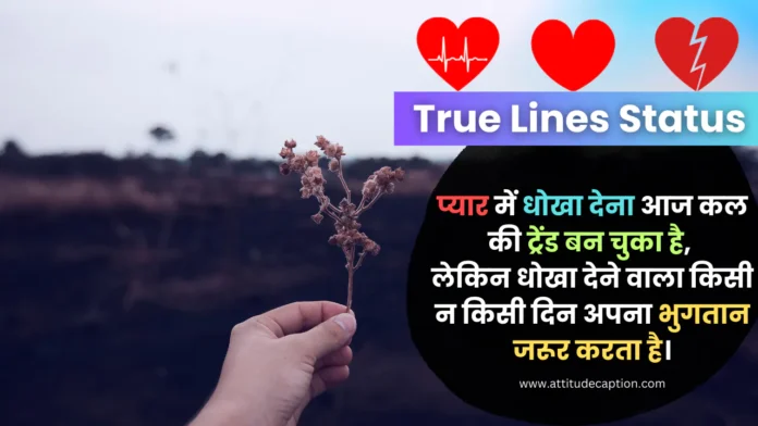 True Lines Status in Hindi True Lines Status in Hindi